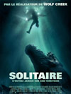 affiche Solitaire