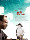 affiche the hawk is dying