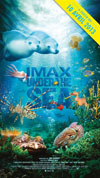 UNDER THE SEA 3D