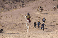 ZODI ET TÉHU, FRÈRES DU DÉSERT