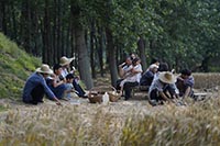 LE TEMPS DES MOISSONS LE TEMPS DES MOISSONS