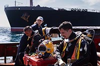 LOS TIGRES LOS TIGRES