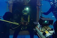 LOS TIGRES LOS TIGRES