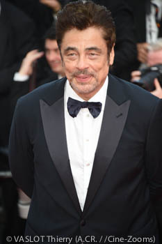 Benicio del Toro