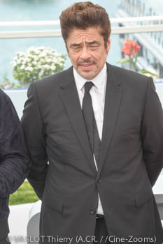 Benicio Del Toro