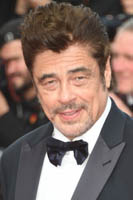Benicio del Toro 