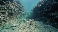 TITOUAN, LES ENFANTS DU CORAIL TITOUAN, LES ENFANTS DU CORAIL