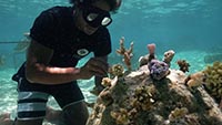 TITOUAN, LES ENFANTS DU CORAIL TITOUAN, LES ENFANTS DU CORAIL