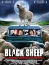 affiche black sheep