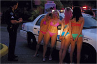 SPRING BREAKERS