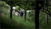 LE MONDE EN UN JARDIN