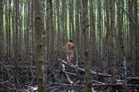 MEKONG STORIES