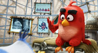 ANGRY BIRDS – LE FILM