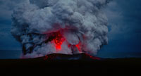 VOYAGE OF TIME : AU FIL DE LA VIE