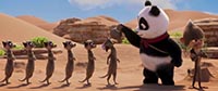 PETIT PANDA EN AFRIQUE