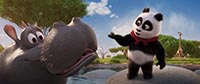 PETIT PANDA EN AFRIQUE