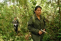 GUERILLA DES FARC, L'AVENIR A UNE HISTOIRE