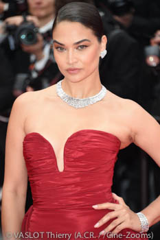 Shanina Shaik