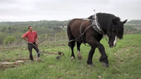 PRENDRE SOIN DE LA TERRE