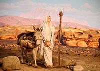 JE SUIS L’IMMACULEE CONCEPTION