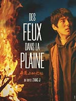 DES FEUX DANS LA PLAINE