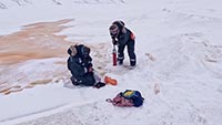 GLACIERS D'ARCTIQUE, ETAT DES LIEUX