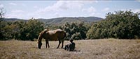 L'EDEN