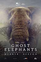GHOST ELEPHANTS