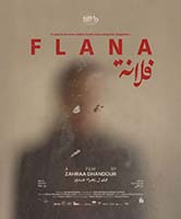 FLANA
