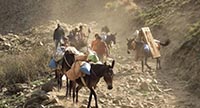 L’HIMALAYA SANS FILTRE : SUR LES ROUTES DE LO