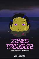 ZONES TROUBLES